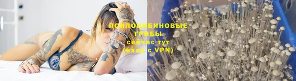 а пвп мука Алексин