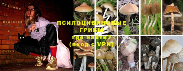 мет Алексеевка